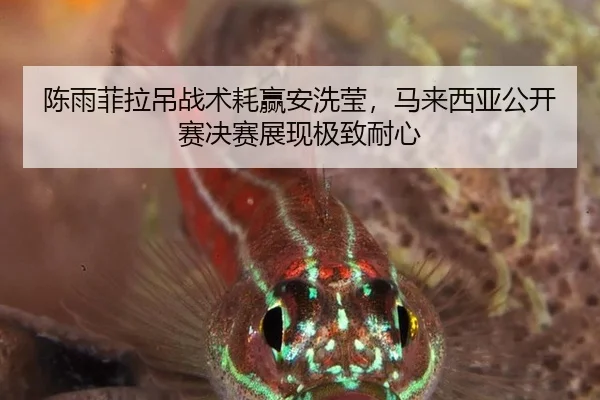 陈雨菲拉吊战术耗赢安洗莹，马来西亚公开赛决赛展现极致耐心
