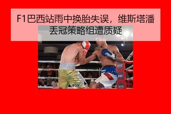 F1巴西站雨中换胎失误，维斯塔潘丢冠策略组遭质疑