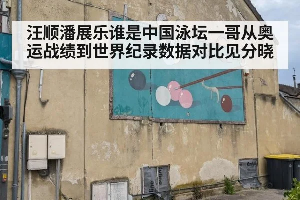 汪顺潘展乐谁是中国泳坛一哥从奥运战绩到世界纪录数据对比见分晓